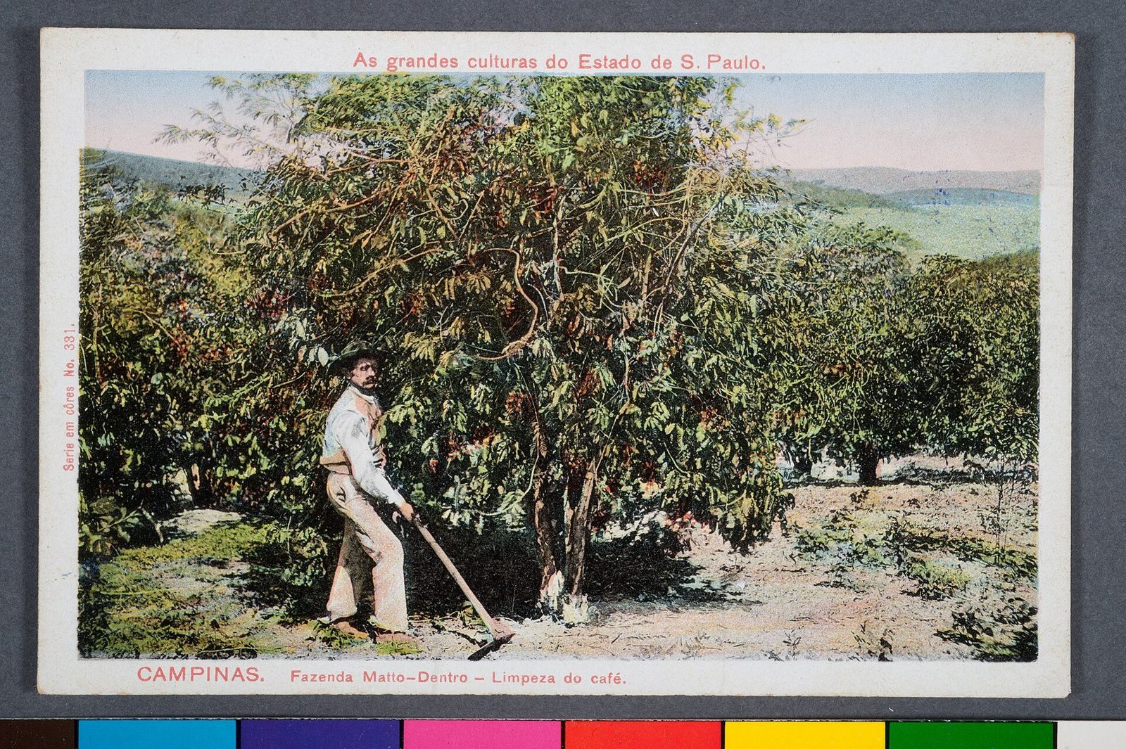 Cartão-postal colorido de um homem capinando entre pés de café